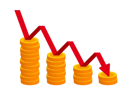 Economie et Gestion d’Entreprise (EGE)